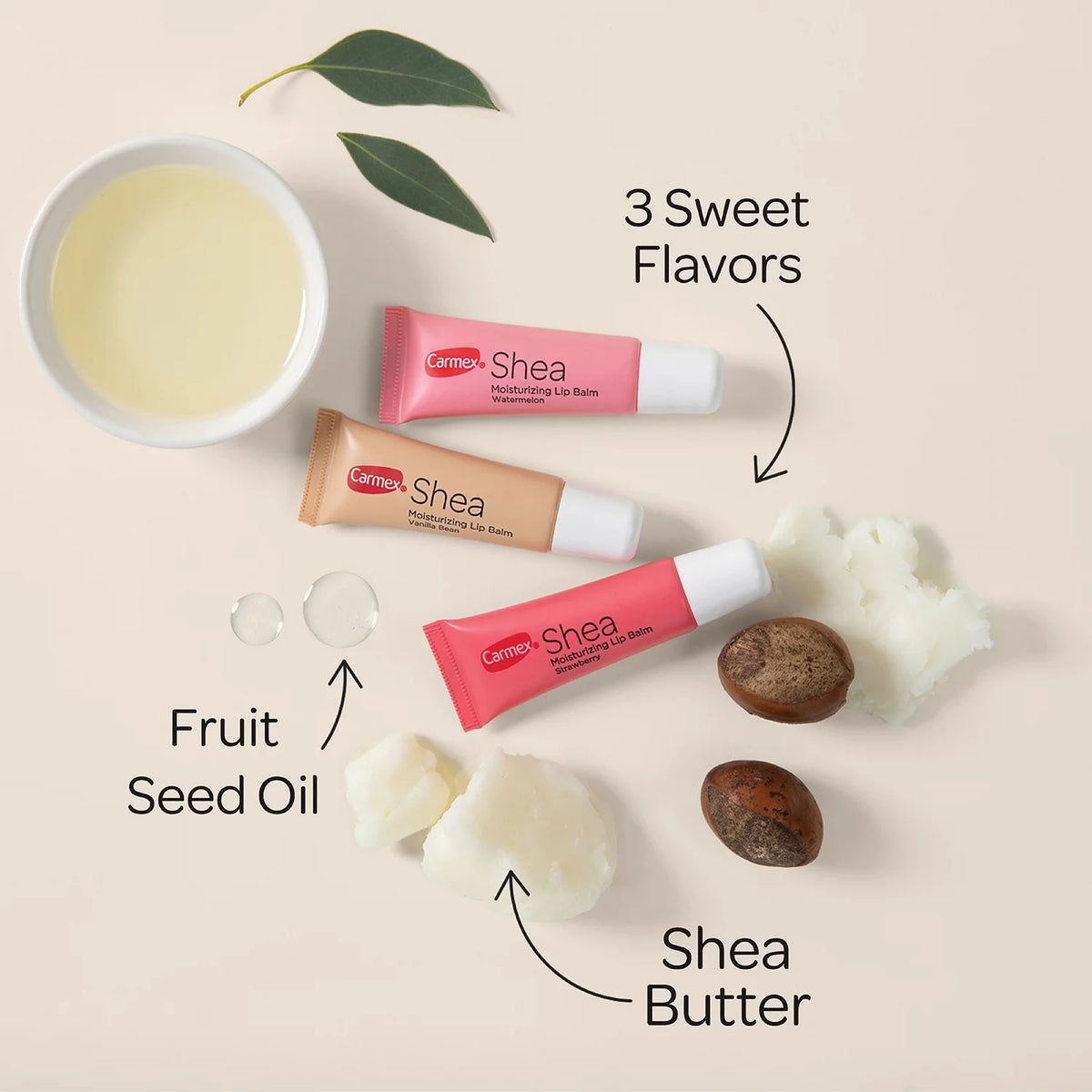Carmex Shea Moisturizing Lip Balm Trio - Strawberry, Watermelon, Vanilla Bea